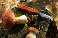 Нож грибной из стали 6,5 см